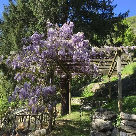 B&B Il Mulino *